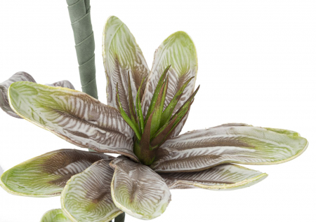 Magnolia verde cu boboci CreativDeco - Plante artificiale pentru decor natural [3]