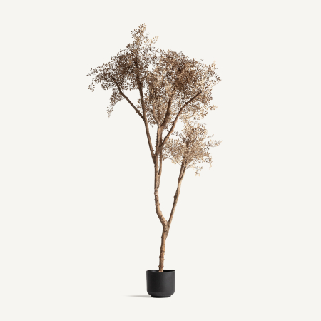 Obiecte decorative - Măslin artificial înalt cu trunchi din lemn noduros și frunze mici bej-maro în ghiveci negru