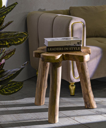 Măsuță rustică din lemn tec reciclat cu design neregulat sculptat manual [9]