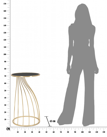 Masuta consola Flush,fier/sticla,auriu/negru [8]