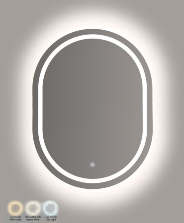 Oglinzi - Oglinda de perete cu LED ovala cu design minimalist si finisaj argintiu 60x80 cm