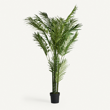 Obiecte decorative in Stil Colonial - Palmier cu tulpini verzi cu inele, frunze lungi arcuite și ghiveci negru din plastic