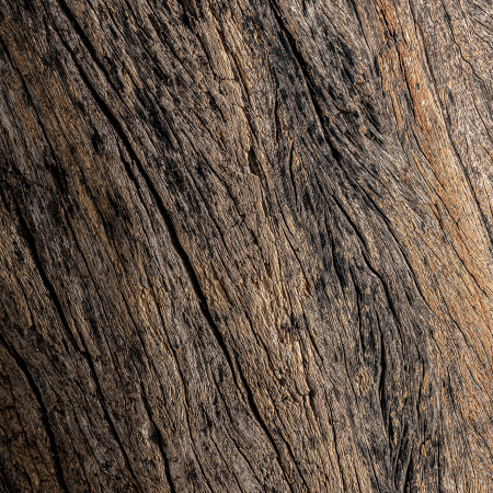 Piedestal lemn tropical|Piedestaluri rustice autentice [2]