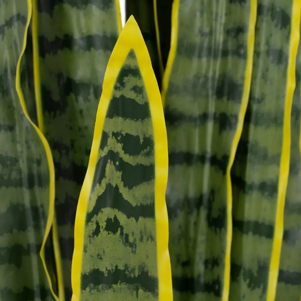 Planta artificiala Sansevieria inalta | Plante de interior fara intretinere [2]