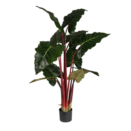 Flori, Plante artificiale - Plantă artificială Alocasia cu frunze mari și tulpini roșcate