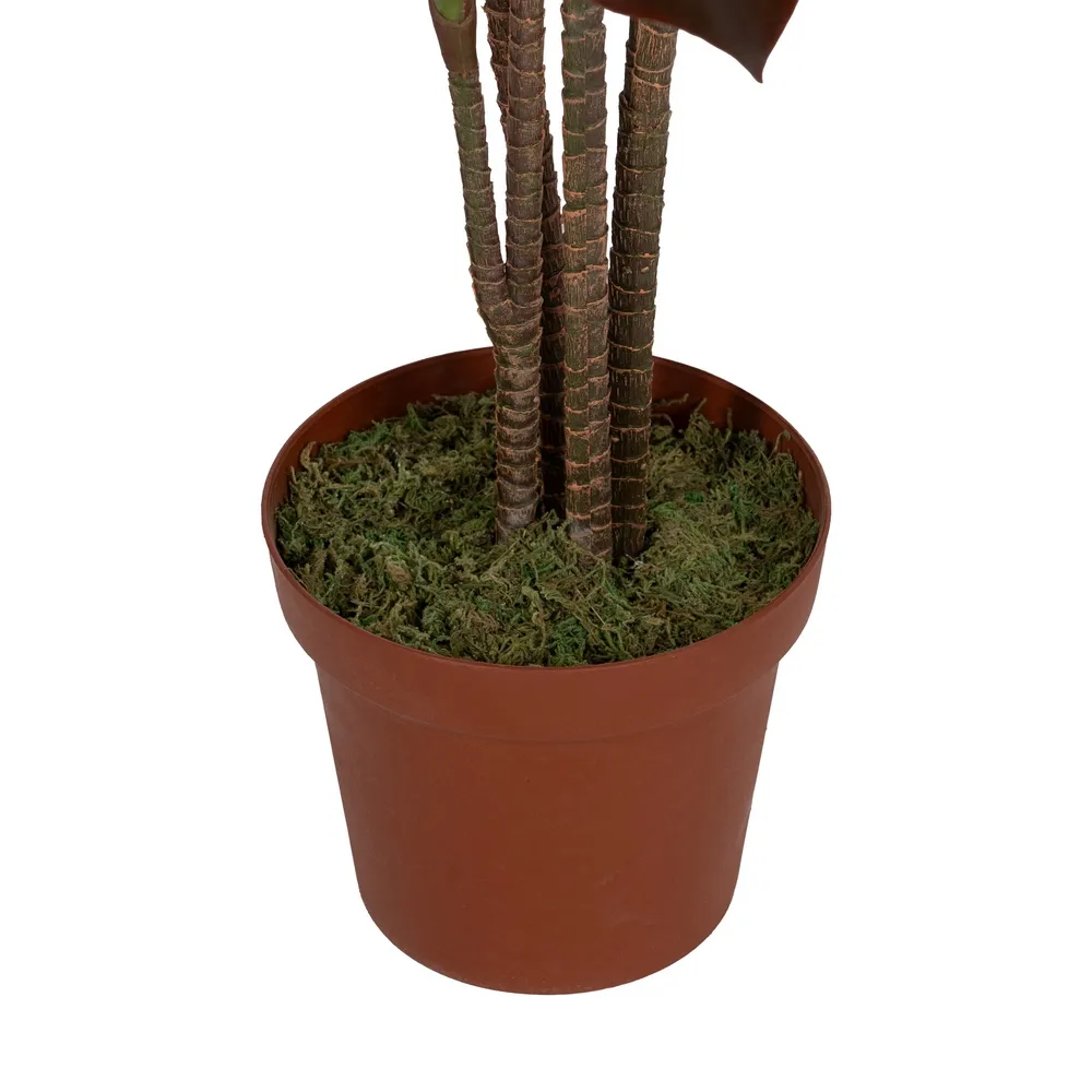 Planta artificiala inalta Cordyline | Plante colorate de interior [3]