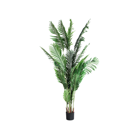 Flori, Plante artificiale - Plantă artificială decorativă tip kentia pentru spații HoReCa 200 cm