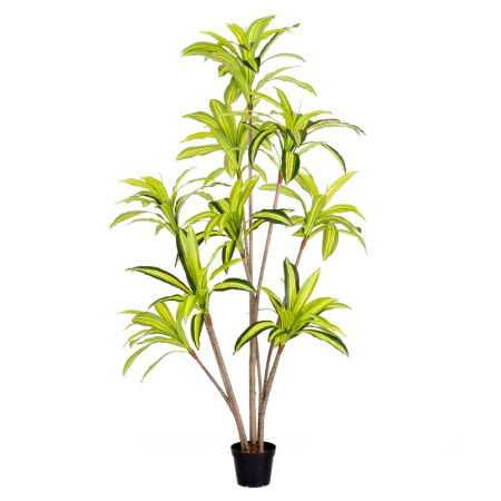 Flori, Plante artificiale - Plantă artificială Dracena pentru exterior cu tulpini înalte