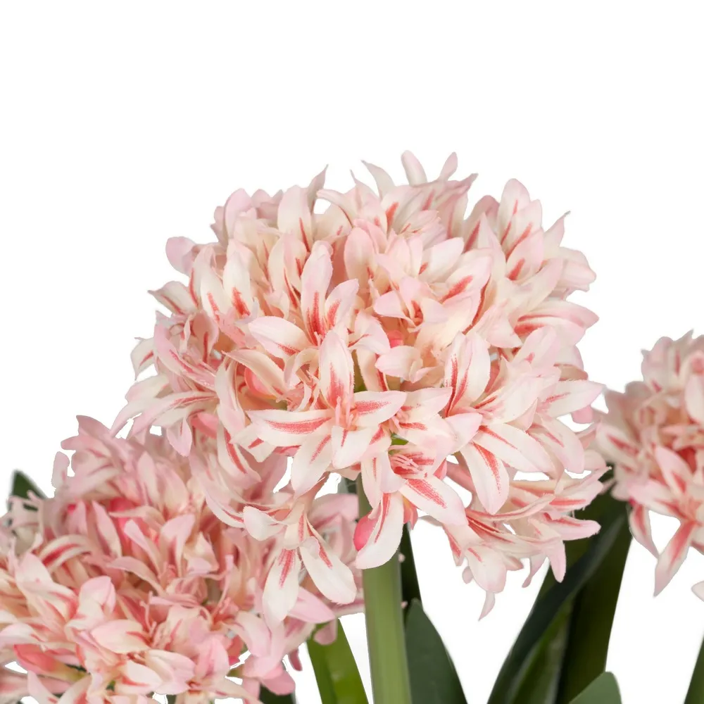 Zambile artificiale roz | Flori decorative pentru primavara eterna [1]