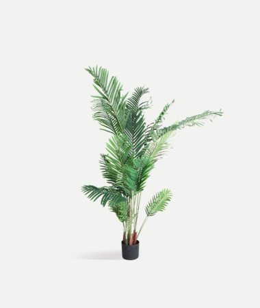 Obiecte decorative - Plantă artificială Areca
