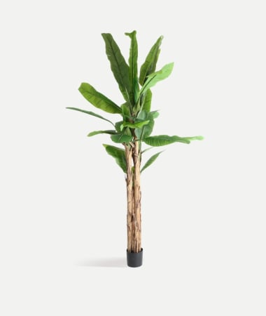 Obiecte decorative - Plantă artificială Bananera