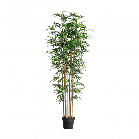 Colonial - Planta decorativa bambus | Plante artificiale orientale