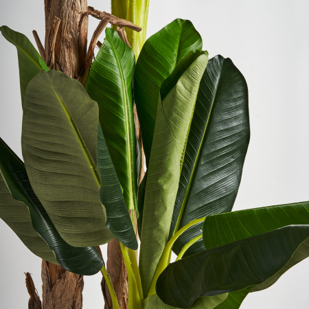 Planta decorativa bananier | Plante artificiale mari [4]