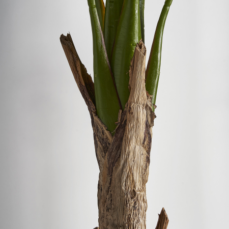 Planta decorativa bananier | Plante artificiale mari [1]