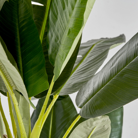 Planta decorativa bananier | Plante artificiale vintage [2]