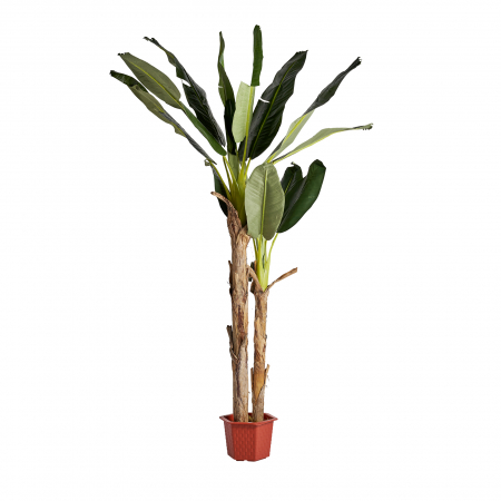 Obiecte decorative - Planta decorativa bananier | Plante artificiale vintage