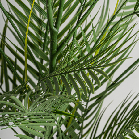 Set crengi decorative etnice | Decoratiuni naturale [2]
