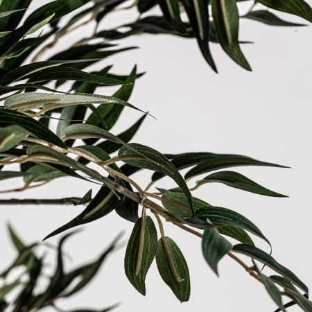 Planta decorativa feriga | Plante artificiale vintage [3]