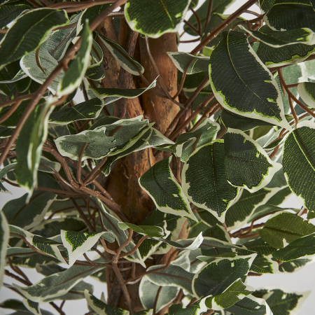 Planta decorativa ficus | Plante artificiale elegante [1]