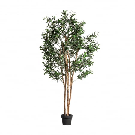 Obiecte decorative - Planta decorativa maslin | Plante artificiale rustice