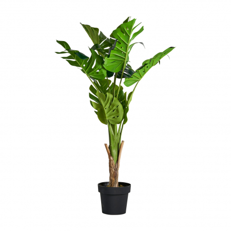 Colonial - Planta decorativa monstera | Plante artificiale tropicale