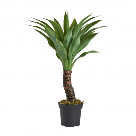 Obiecte decorative - Planta decorativa yucca | Plante artificiale exotice