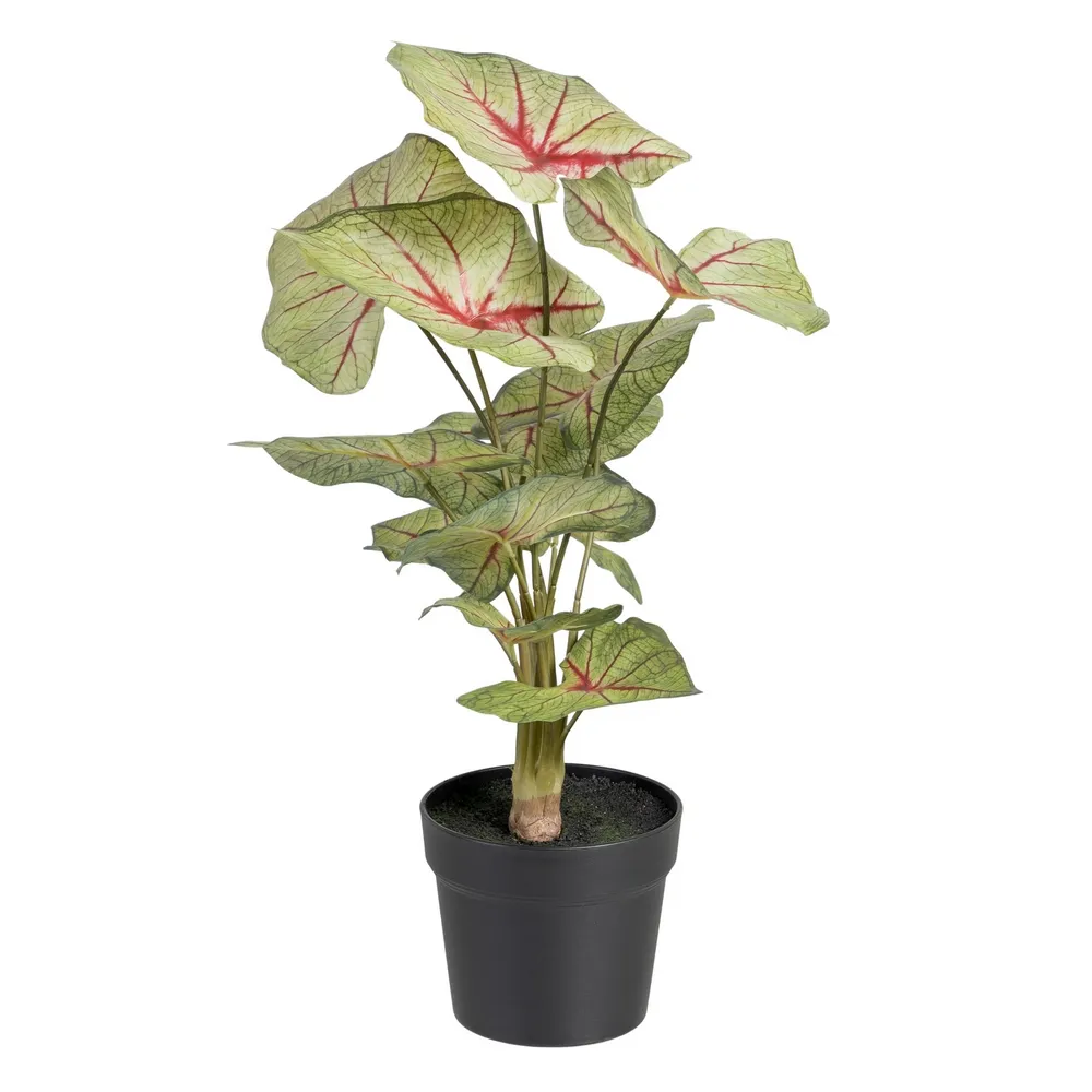 MEGA PROMOTII - Planta artificiala Caladium | Decor tropical interior | CreativDeco