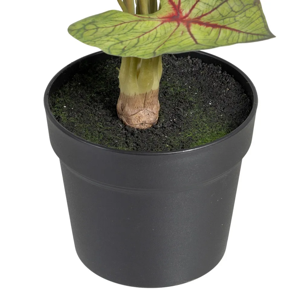 Planta artificiala Caladium | Decor tropical interior | CreativDeco [3]