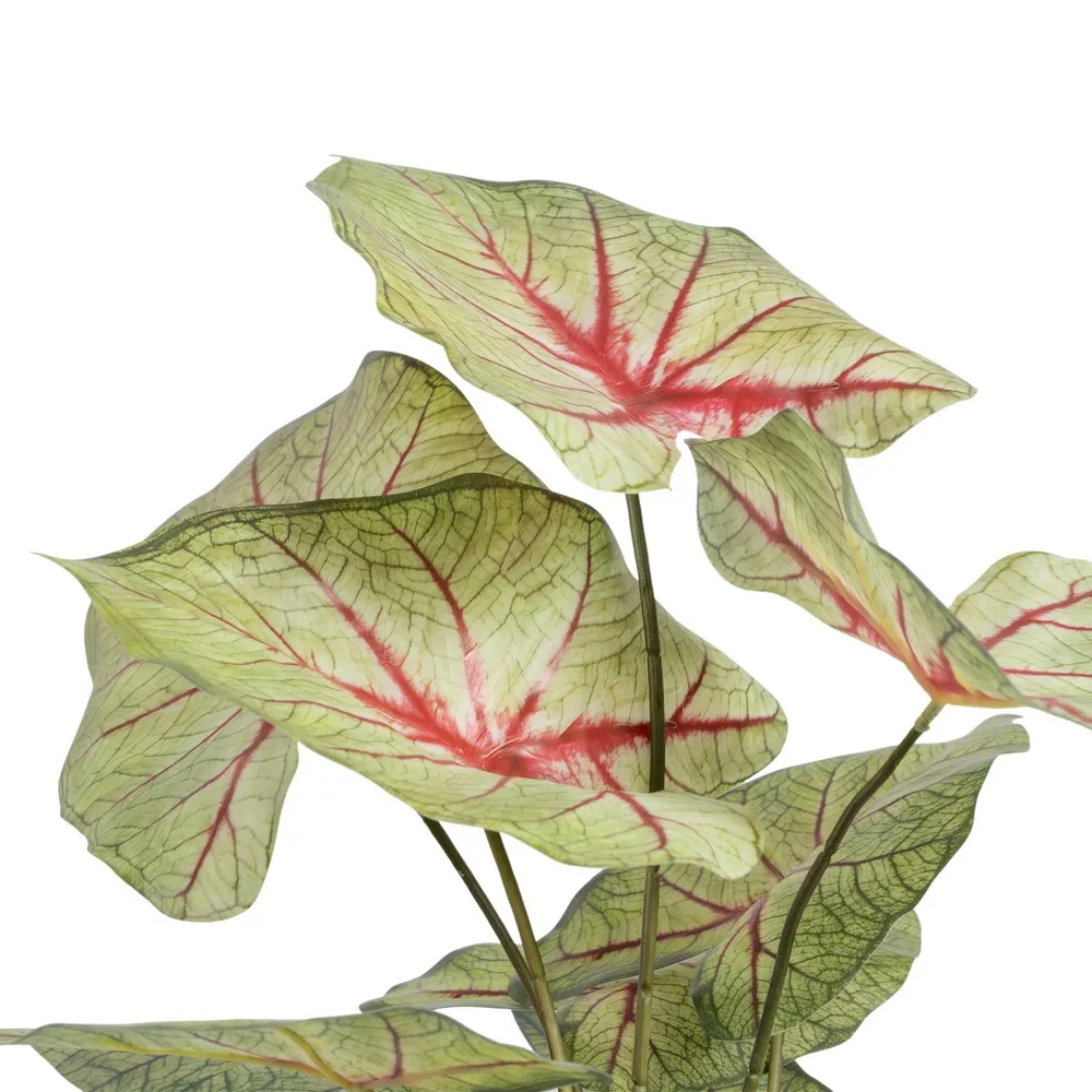 Planta artificiala Caladium | Decor tropical interior | CreativDeco [2]