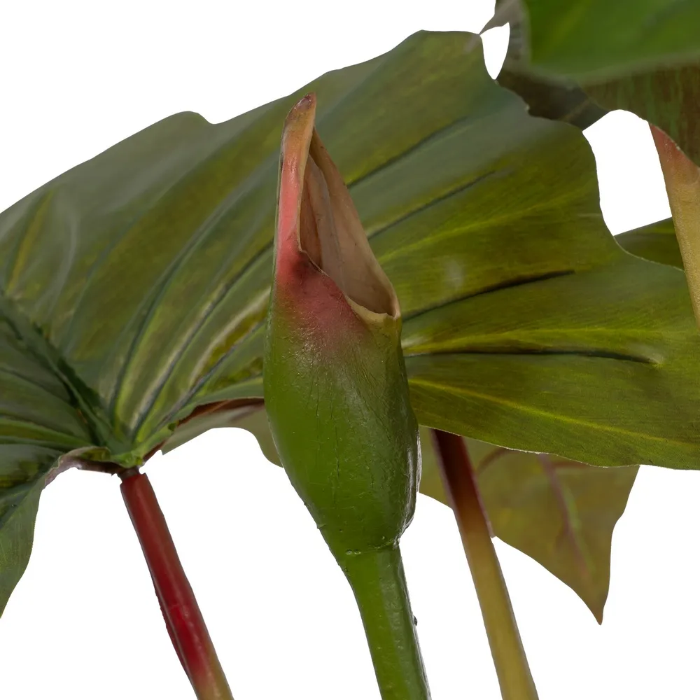 Planta artificiala Alocasia | Plante tropicale pentru apartament [2]