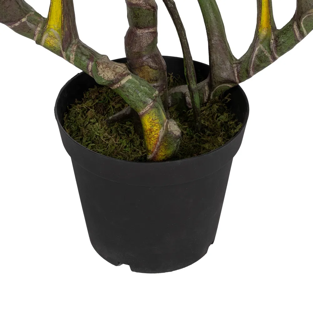 Planta artificiala Alocasia | Plante tropicale pentru apartament [4]