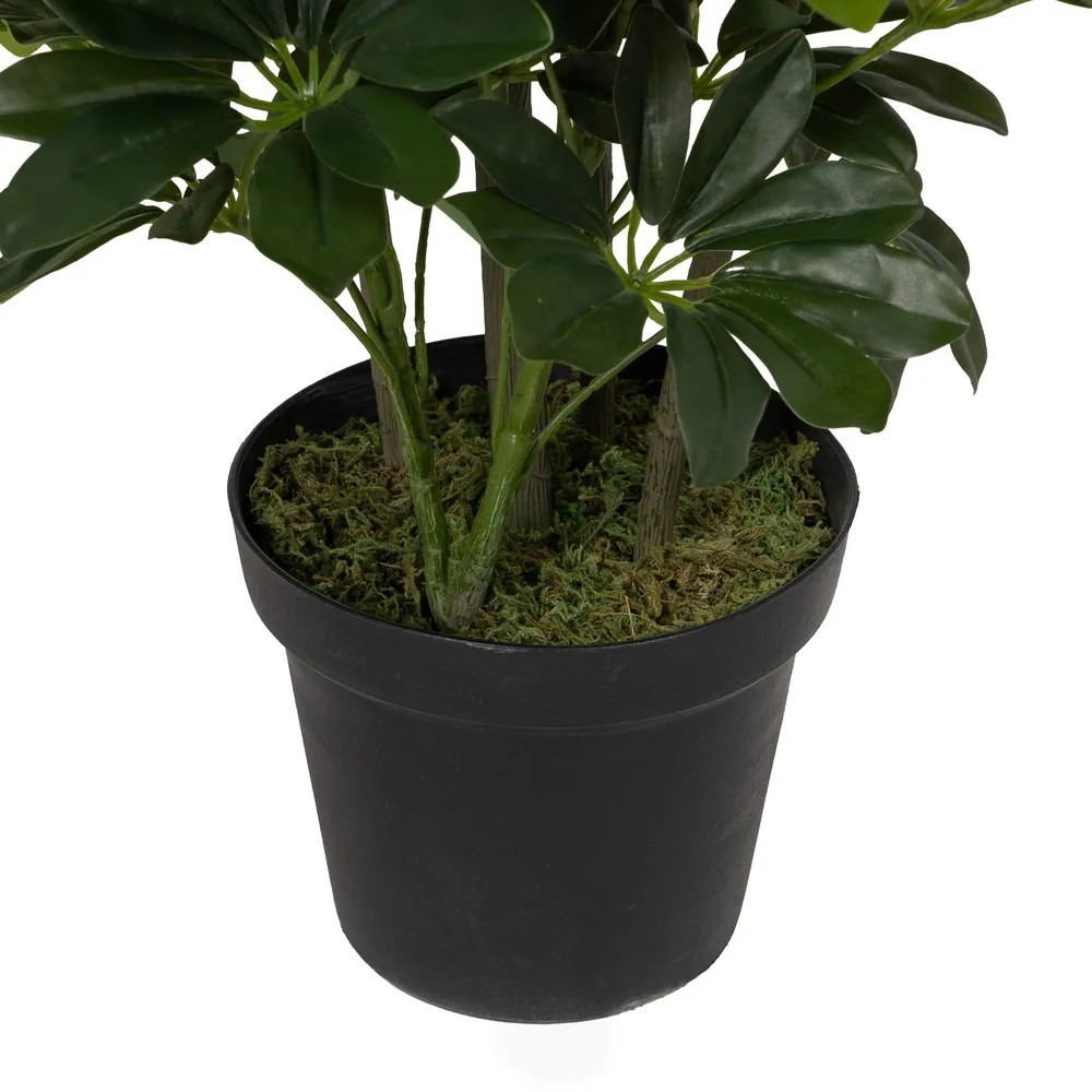 Planta mare artificiala Schefflera | Decoratiuni verzi pentru birou [3]
