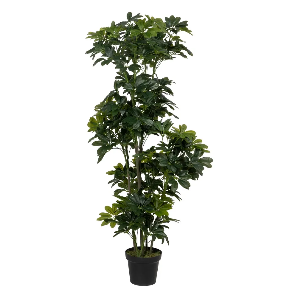 Obiecte decorative - Planta mare artificiala Schefflera | Decoratiuni verzi pentru birou