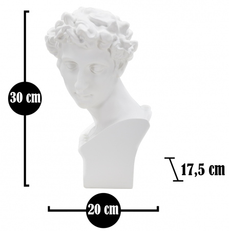Sculptura Romana bust alb polirasina | creativdeco.ro [5]