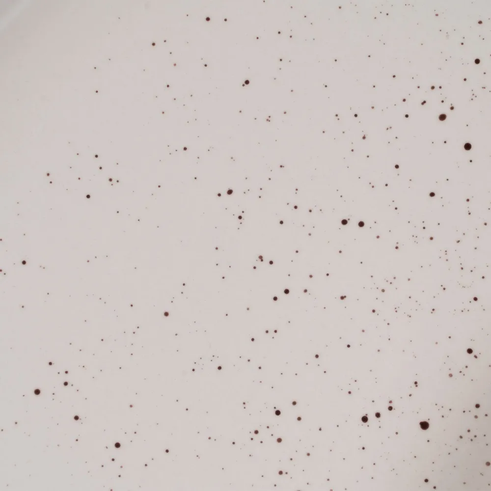 Serviciu de Masa Retro 18 Piese | Seturi de Masa | CreativDeco [2]