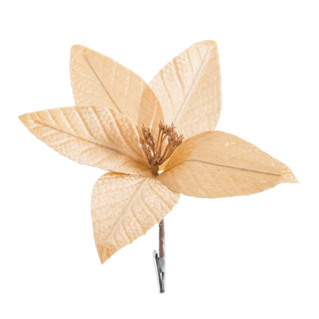 Craciun - Set 12 flori poinsettia aurii cu clemă din textil cu petale subțiri transparente și miez de stamine maronii
