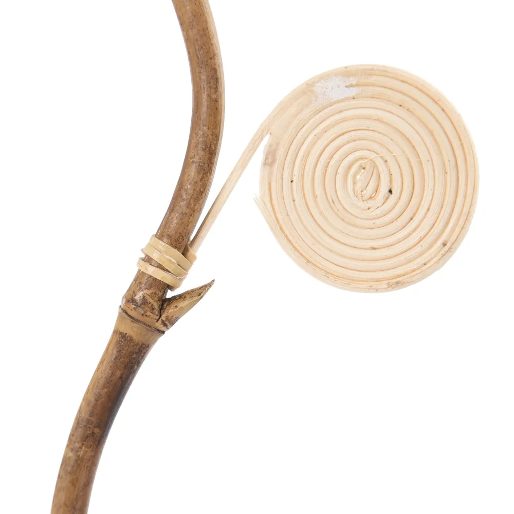 Crengute decorative spirale | Decoruri naturale | Vaze inalte [3]