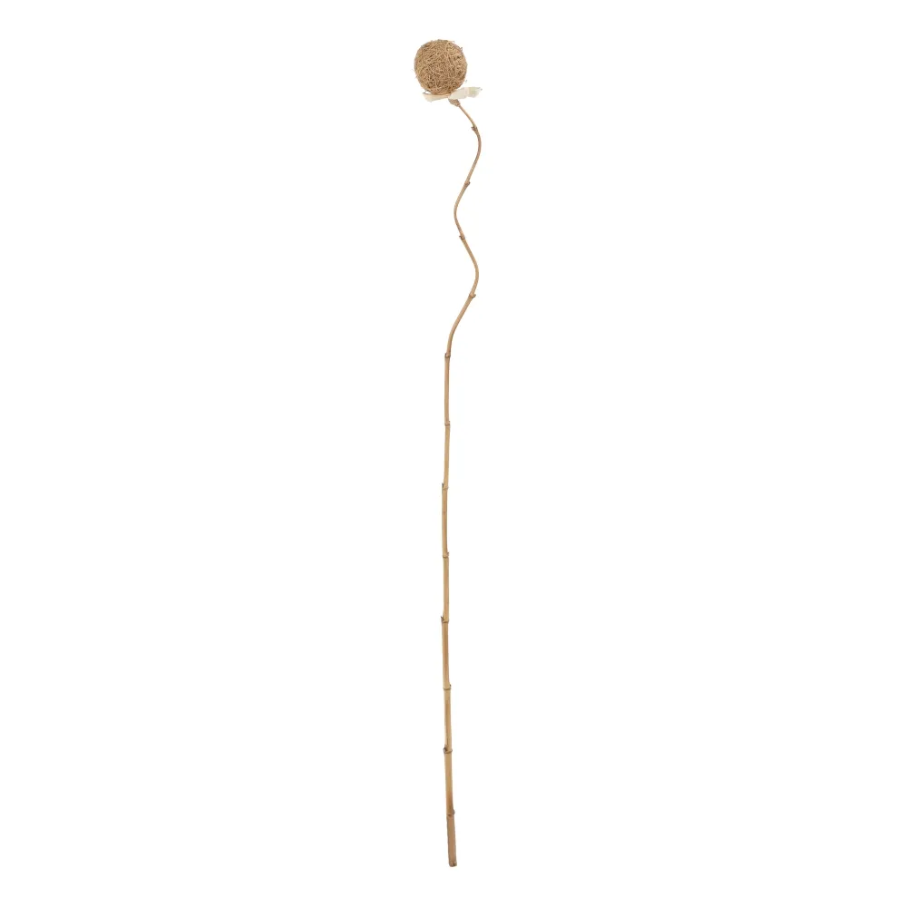 MEGA PROMOTII - Crengute decorative bumbac | Vaze inalte | Decoratiuni moderne