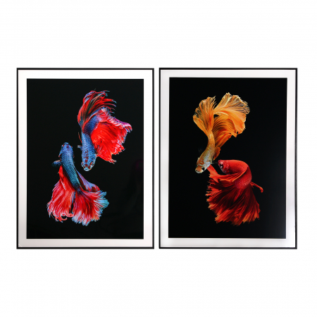 Decoratiuni perete - Tablouri contemporane multicolore|Tablouri premium perete