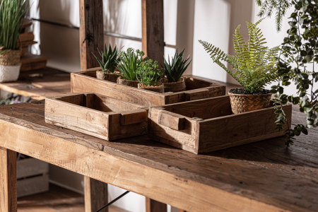 Cutii lemn mahogany vintage|Organizare etnica premium [3]