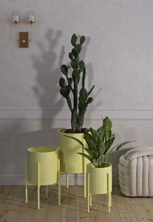 Suporturi Flori Galbene | Plante Apartament | CreativDeco [1]