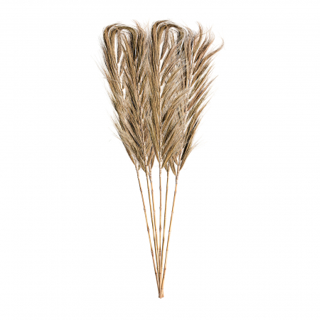 Etnic - Crengi decorative etnice|Decoratiuni fibra naturala