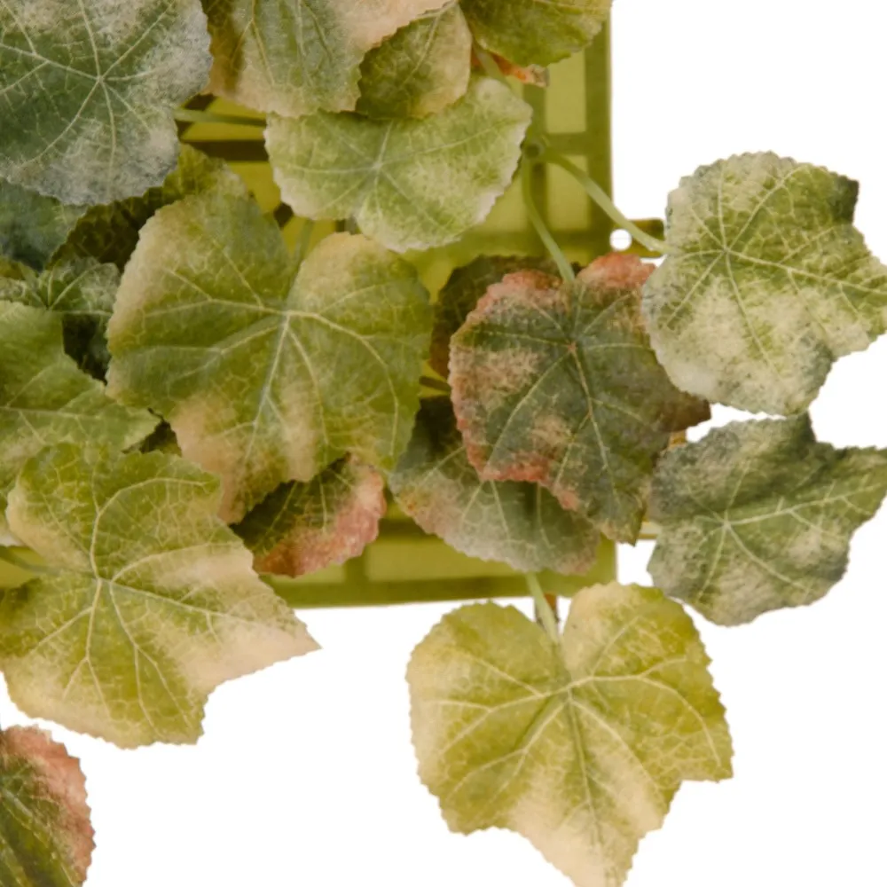 Perete Verde Artificial | Panouri Decorative Frunze Imitatie Iedera [1]