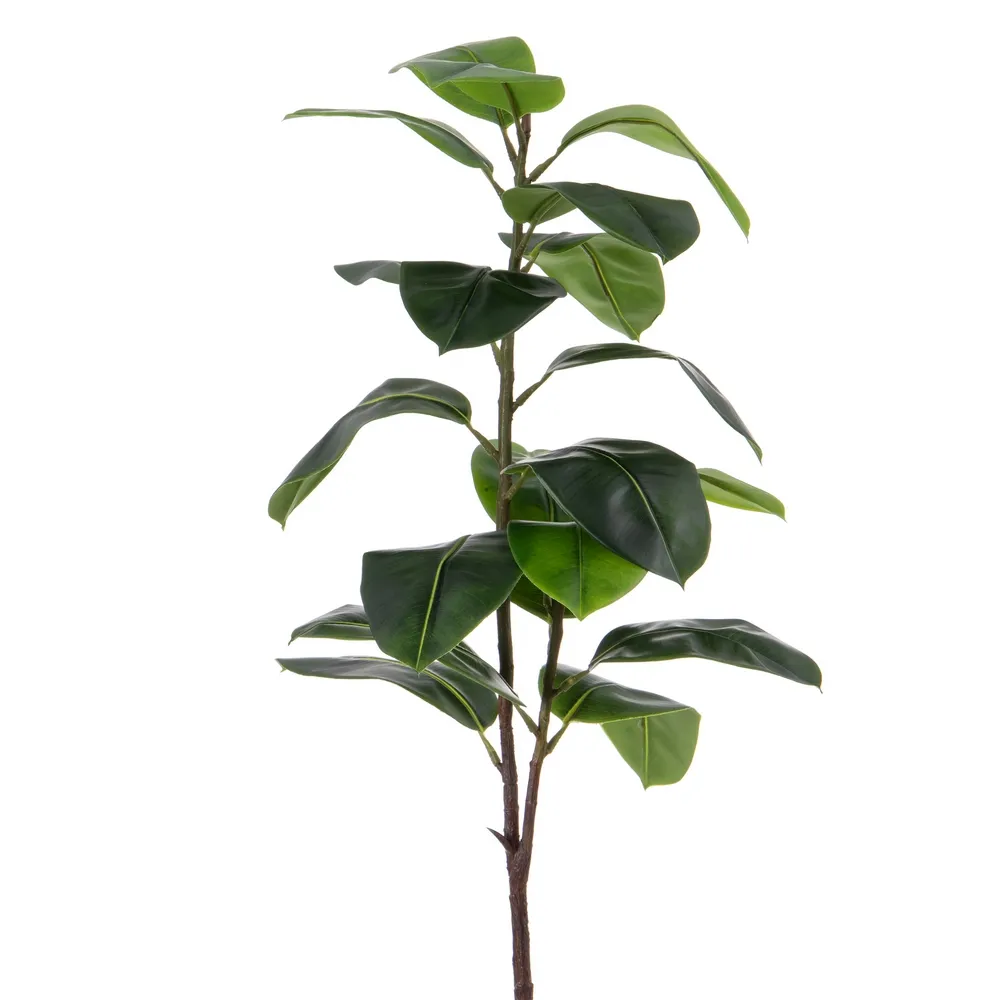 MEGA PROMOTII - Crengute frunze mari verzi | Decoratiuni tropicale | Vaze inalte