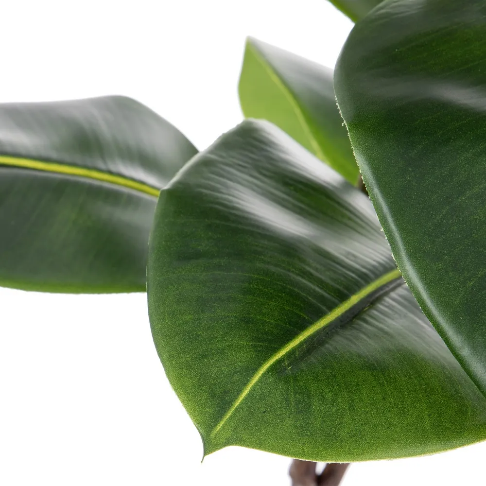 Crengute frunze mari verzi | Decoratiuni tropicale | Vaze inalte [2]