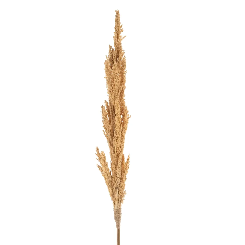 Crengute Decorative pentru Vaze Inalte | Decoratiuni Delicate [1]