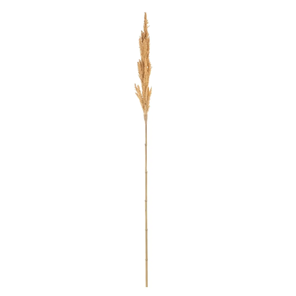 MEGA PROMOTII - Crengute Decorative pentru Vaze Inalte | Decoratiuni Delicate