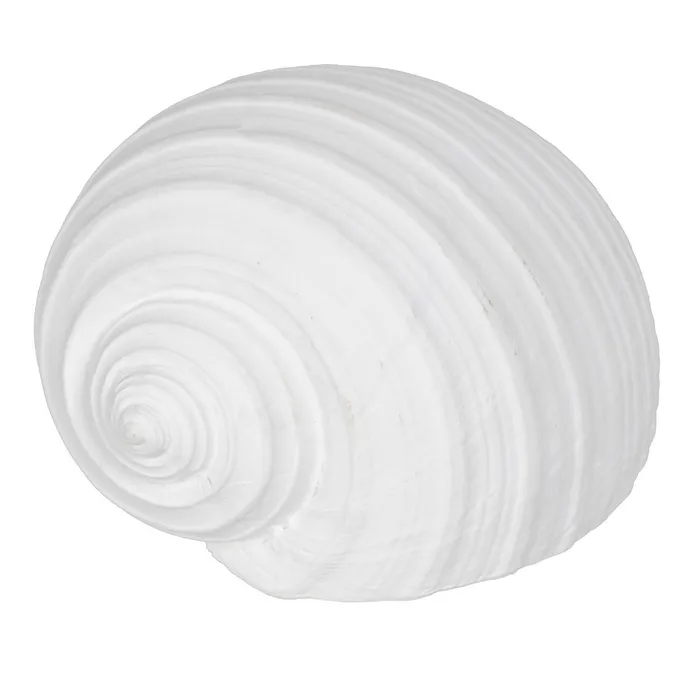 Tema Marina - Set scoici rasina alba modern|Decoratiuni marine contemporane