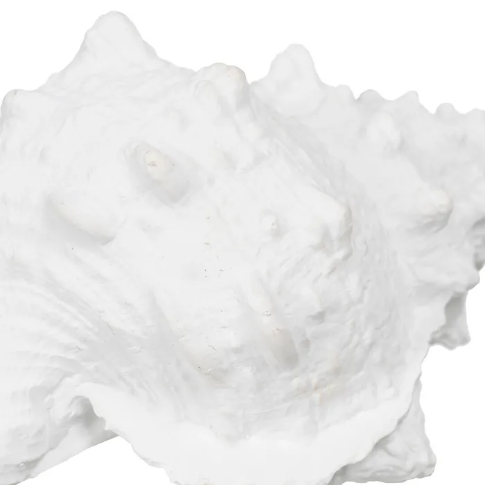 Set scoici rasina alba inspiratie oceanica|Decoratiuni marine sofisticate [5]