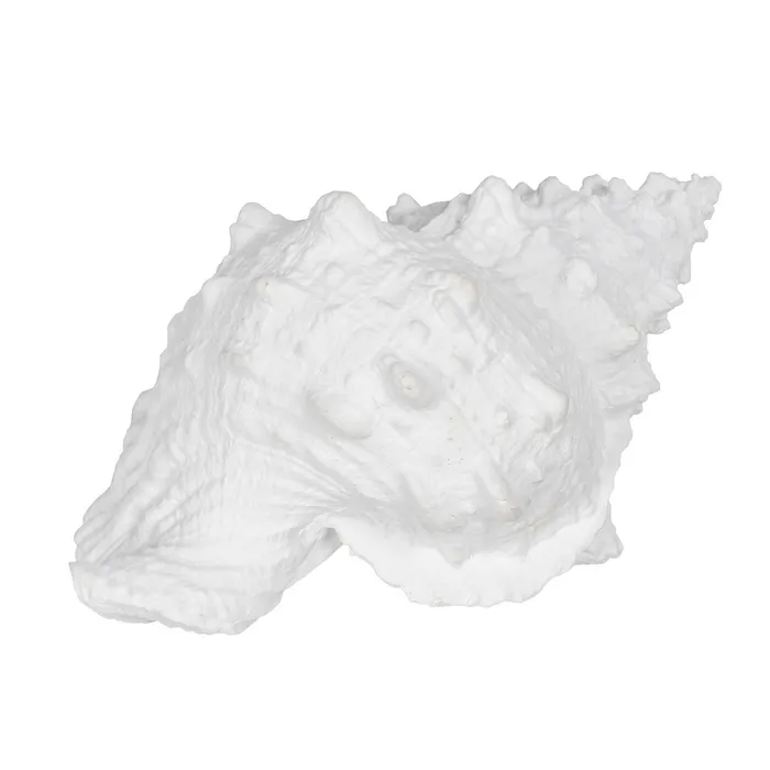 Set scoici rasina alba inspiratie oceanica|Decoratiuni marine sofisticate [3]
